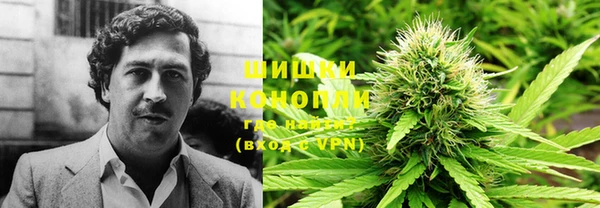 прущие крисы Тавда