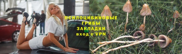 винт Снежинск